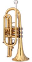 Blessing BCR-XL Cornet